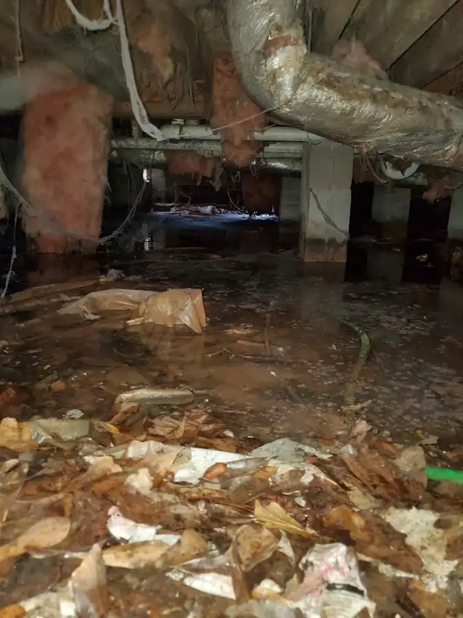 Crawl space flood assessment for Leak Detection & Repair in Princeton